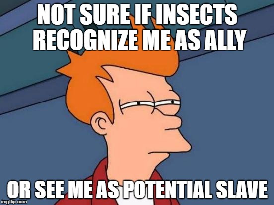 Futurama Fry sez, 'Not sure if insects recognize me as ally... Or see me as potential slave.