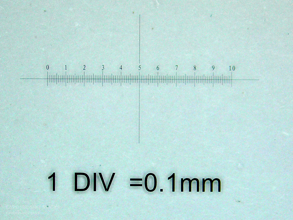 I used the one-centimeter-total, tenth-of-a-millimeter-division scale (leftmost of the four scales printed on that slide).