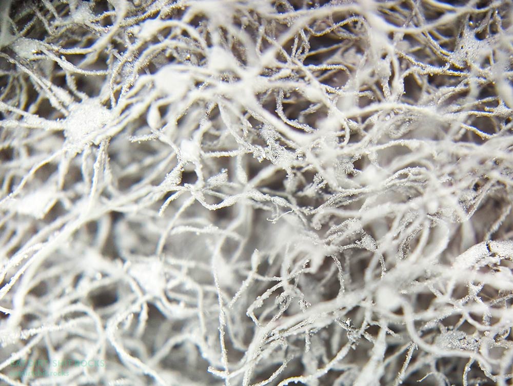 Close-up, via mobile phone microscope, of the hairball-like structure of the piece of 3M Scotch-Brite 7448 hand pad.