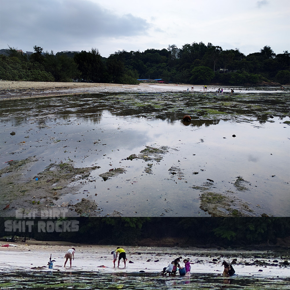 Digging for clams in the garbage-strewn sediment.
